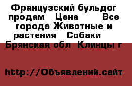 Французский бульдог продам › Цена ­ 1 - Все города Животные и растения » Собаки   . Брянская обл.,Клинцы г.